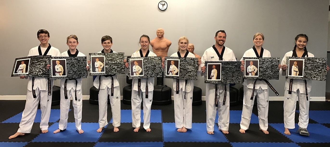 Shiba Taekwondo Adult Class