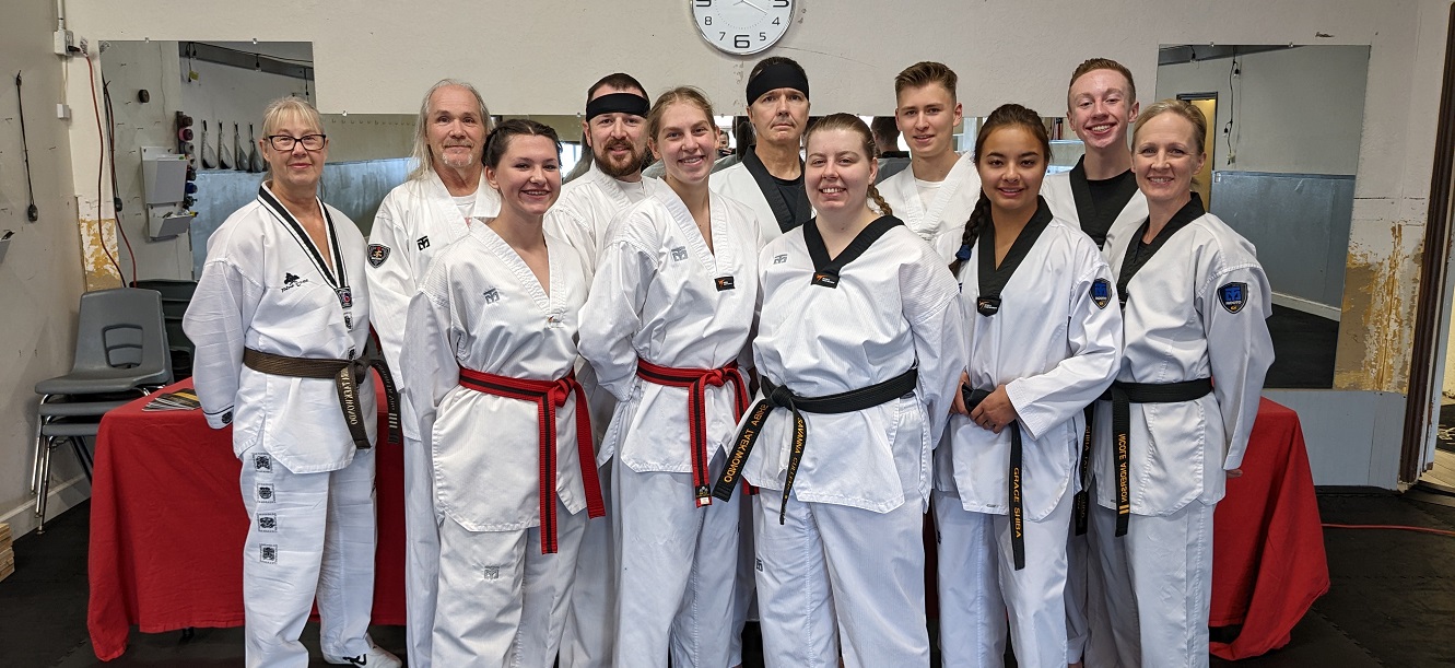 Shiba Taekwondo Adult Class