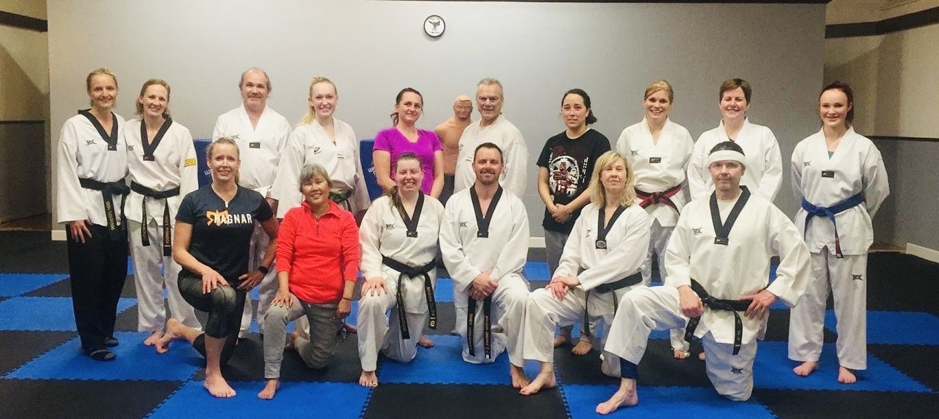 Shiba TKD Adult Class