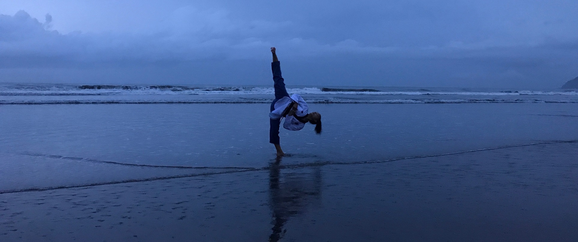 Shiba Taekwondo student kicking on the beach
