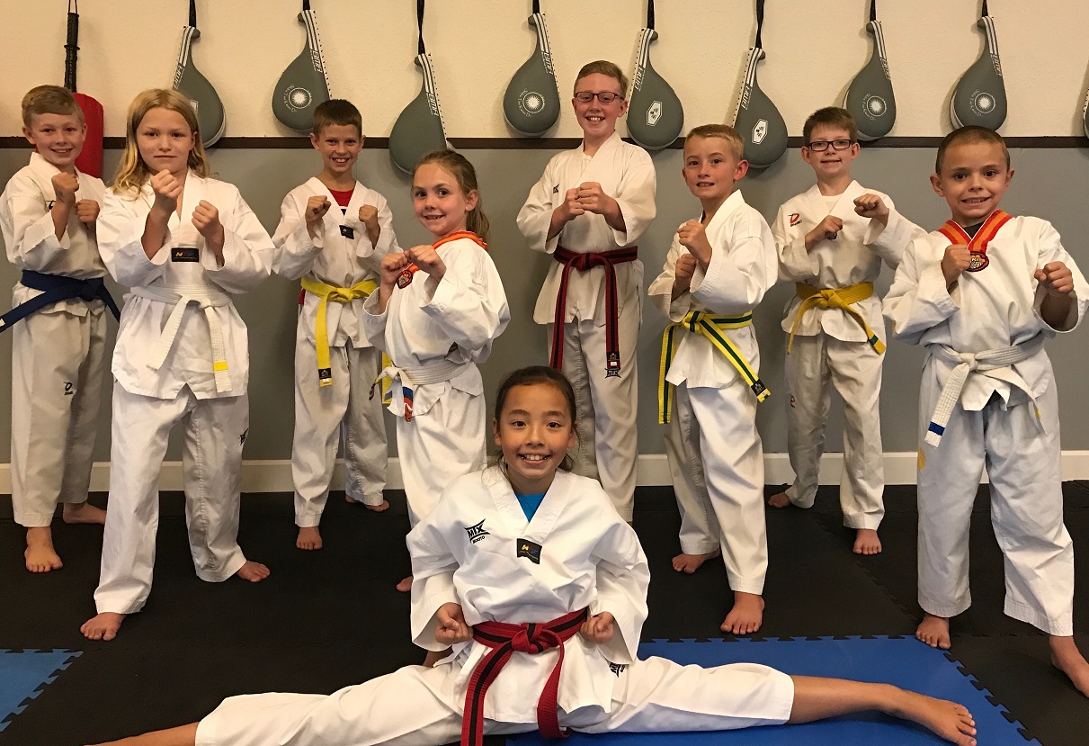 Shiba TKD Beginner Class