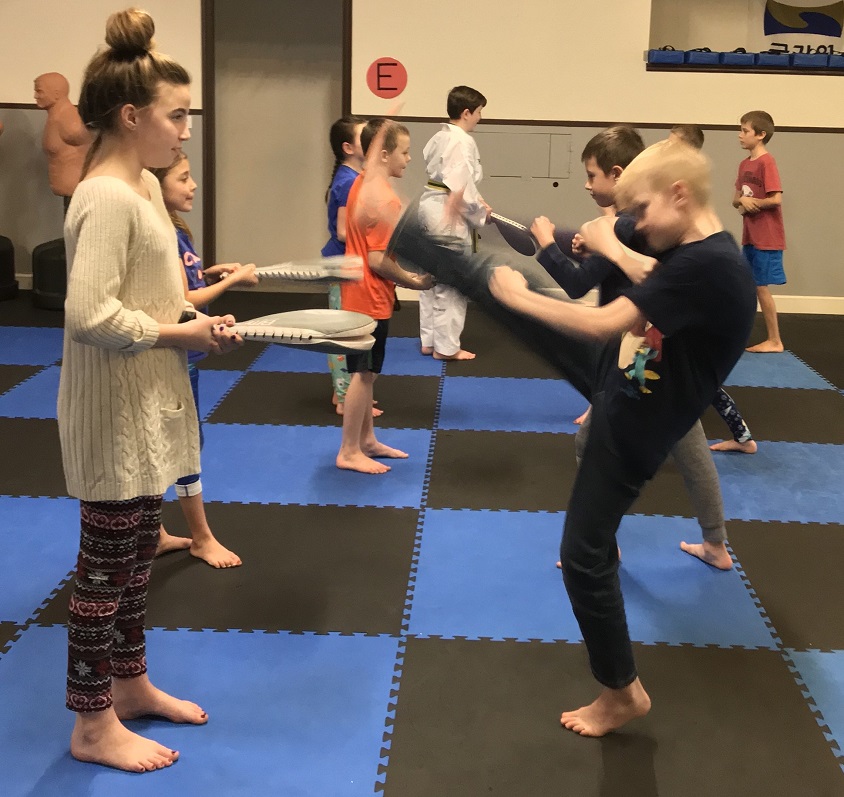 Shiba Taekwondo Outsourcing Class