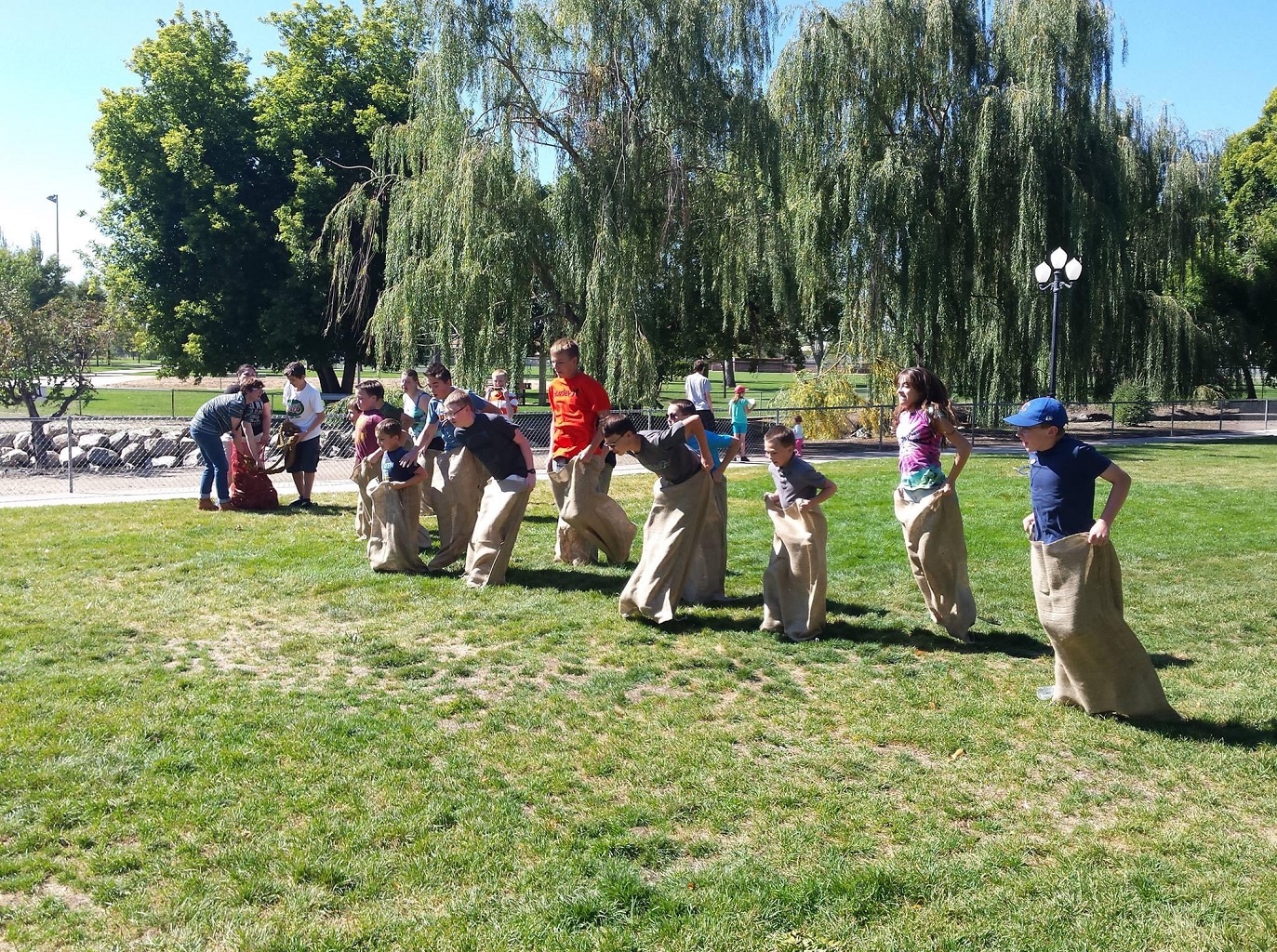 Shiba Annual Picnic